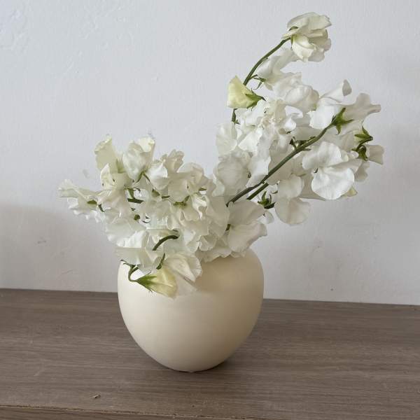 White sweet pea flowers in a cream vase on a wooden surface