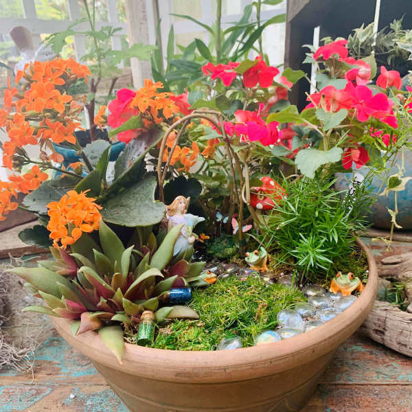 Succulent planter with orange and pink flowers in a shallow bowl