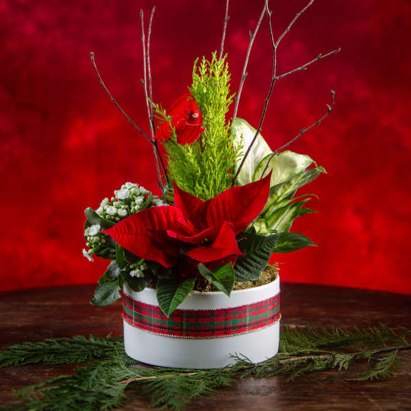 Holiday floral arrangement in a white round box with red blooms and greenery