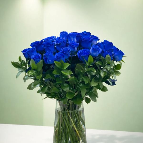 Ocean Serenade