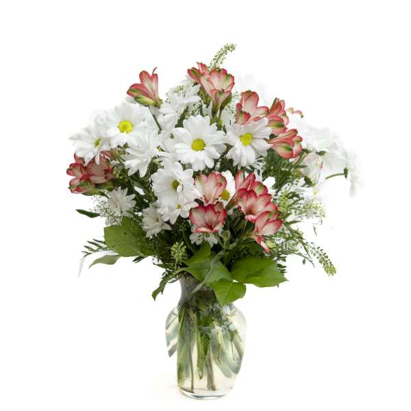 White daisies and pink-edged alstroemeria in a clear glass vase