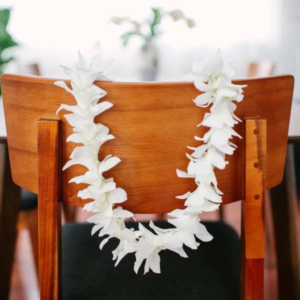 Single Orchid Lei