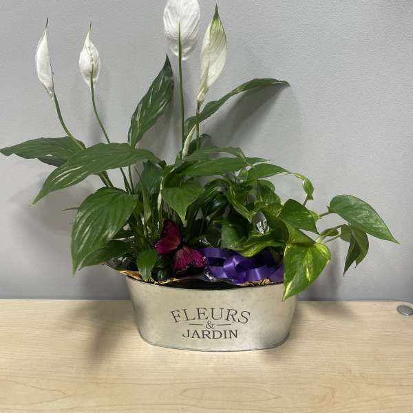 Garden Planter