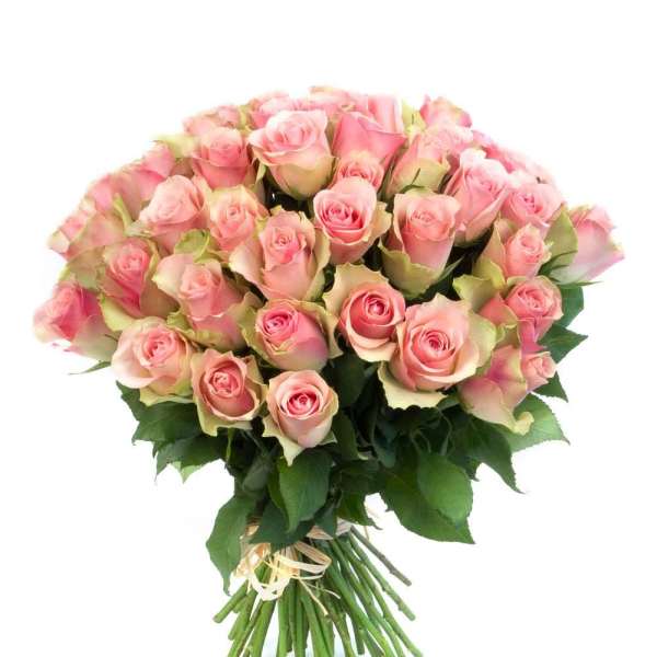 Grand Gesture in Pink
