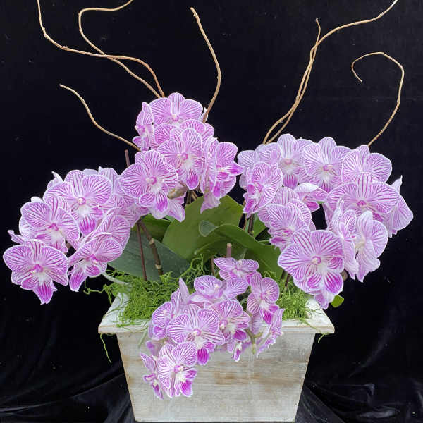 Love pink
