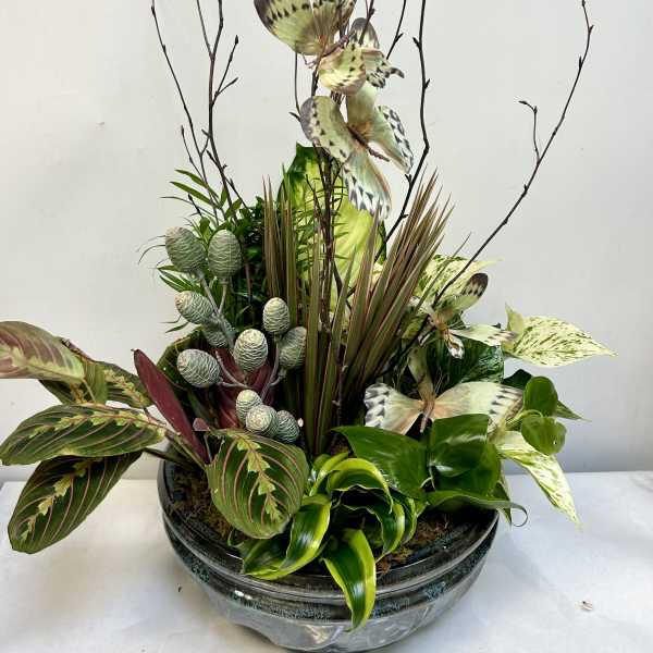 Mixed tropical plant arrangement in a low glass bowl with tall branches