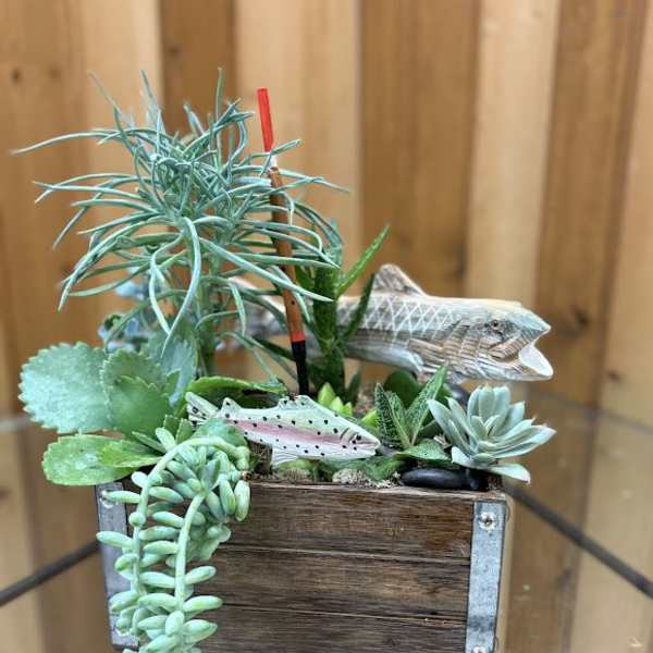 Succulent arrangement in a wooden box with decorative fish figures
