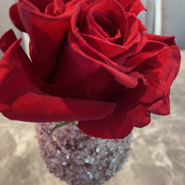 Single red rose in a glittery stemmed vase