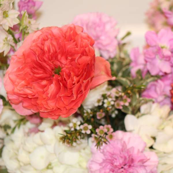 Coral and pink flowers arranged with white blooms in a soft bouquet