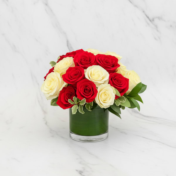 Red and White Roses