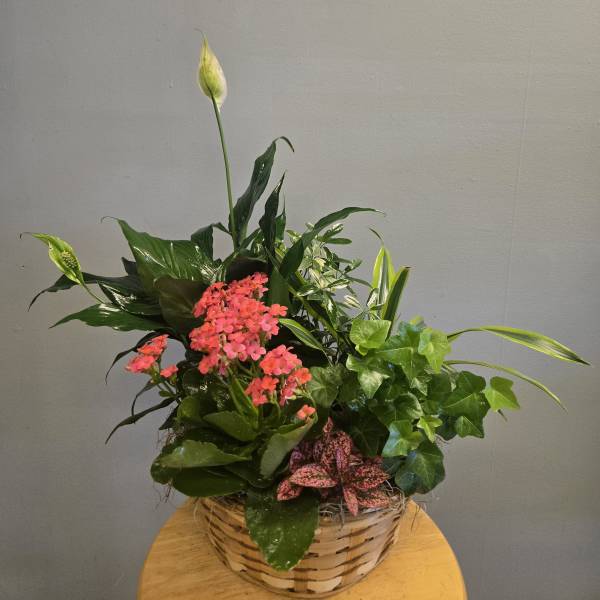 Basket arrangement with pink flowers and white peace lilies
