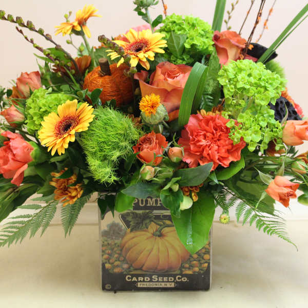 antique pumpkin patch