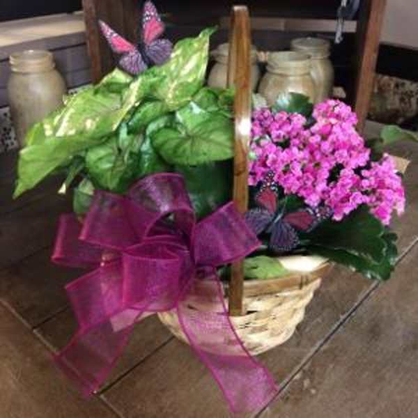 Basket arrangement with pink flowers, green foliage, and a purple ribbon