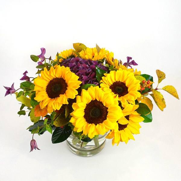 Golden Hour