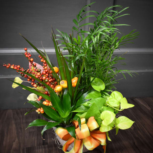 Tropical plant arrangement with orange berries and a ribbon in a container