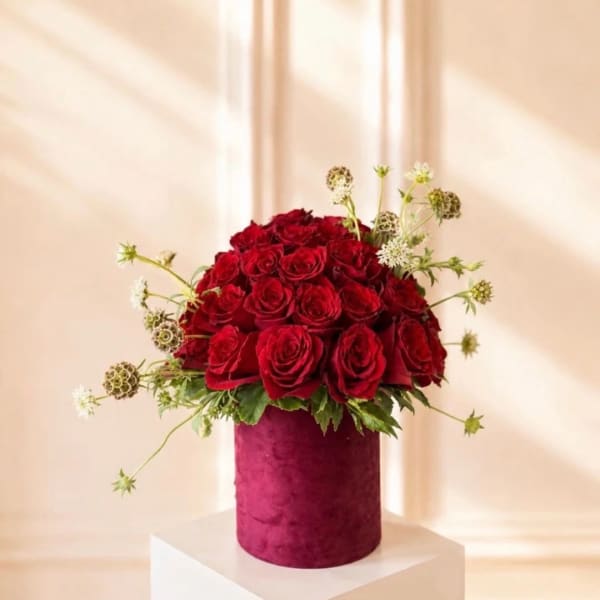 Red roses arranged in a magenta velvet cylinder vase with airy white accents