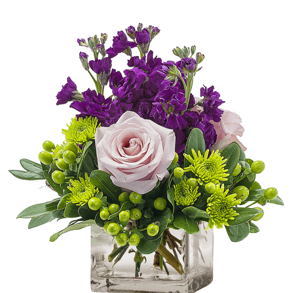 My Anna Marie