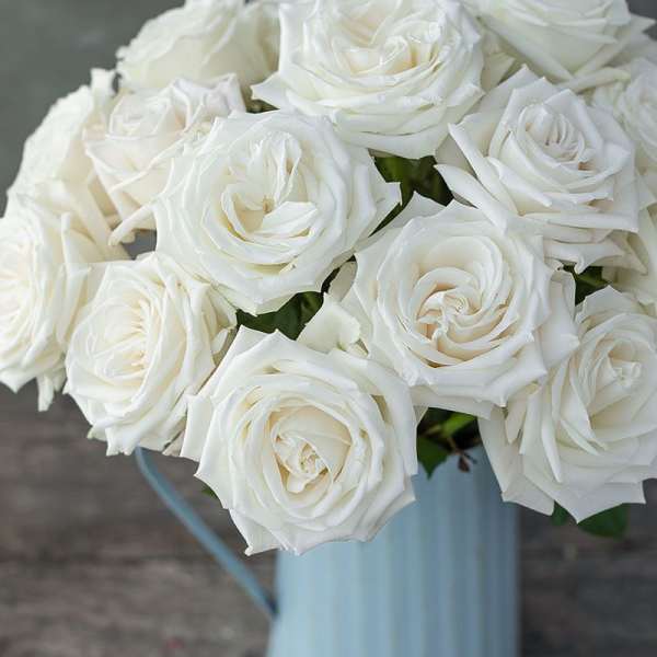 Bouquet of white roses in a pale blue vase