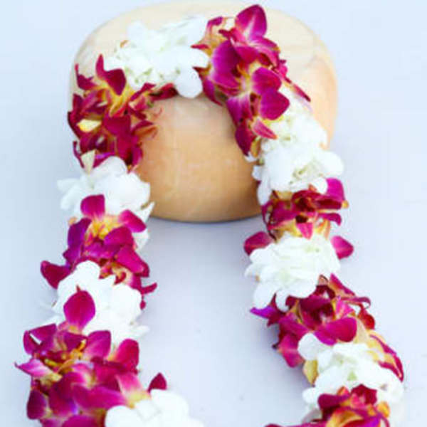 Pink and white orchid lei draped around a coconut shell