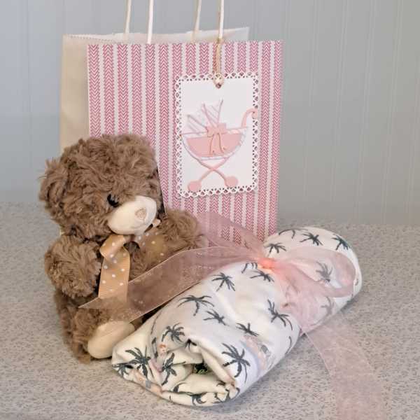 Teddy bear, rolled baby blanket, and gift bag with a pink card