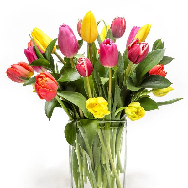 Colorful tulips arranged in a clear glass vase