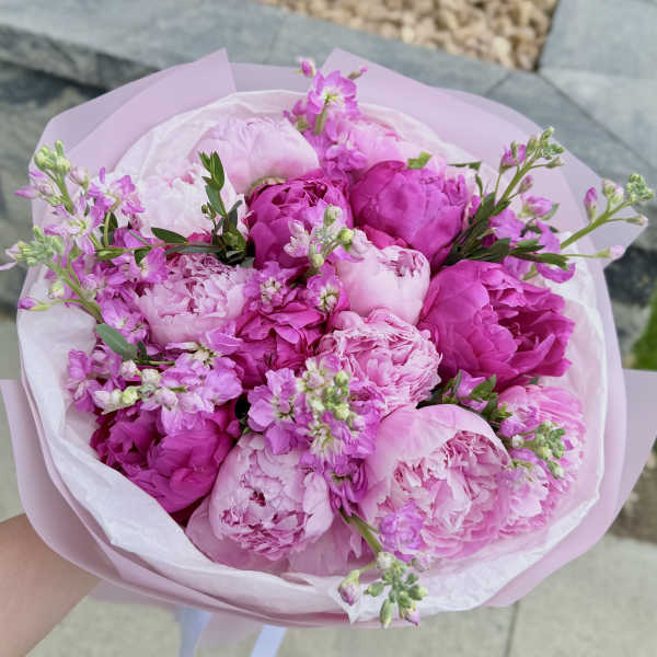 Raspberry Sorbet Pink peony mix