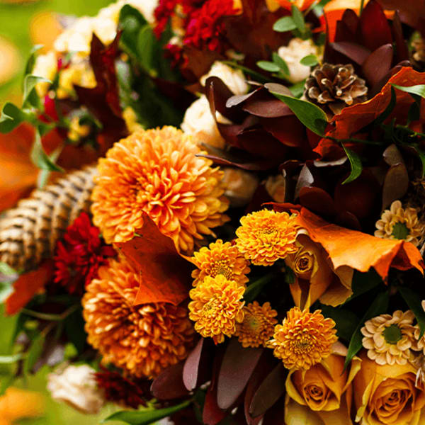 autumn designers Choice