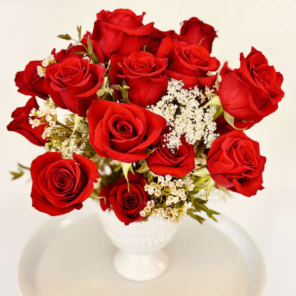 Red roses arranged in a white vase with small white filler flowers