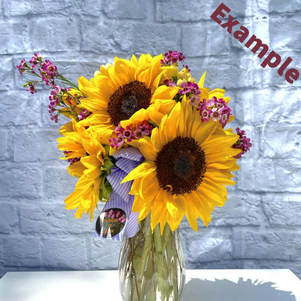 Sunflower Field