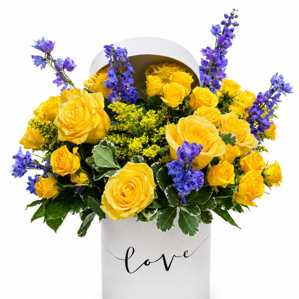 Sunshine & Sapphire Hatbox