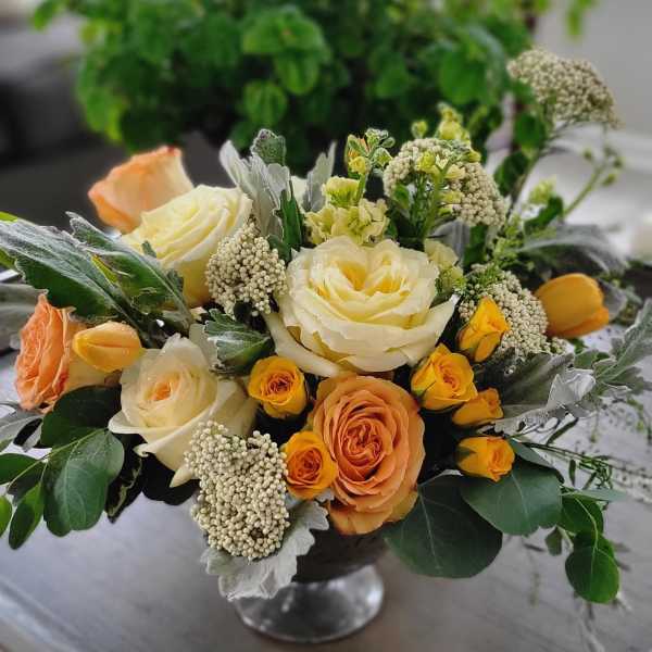 Shine Your Light