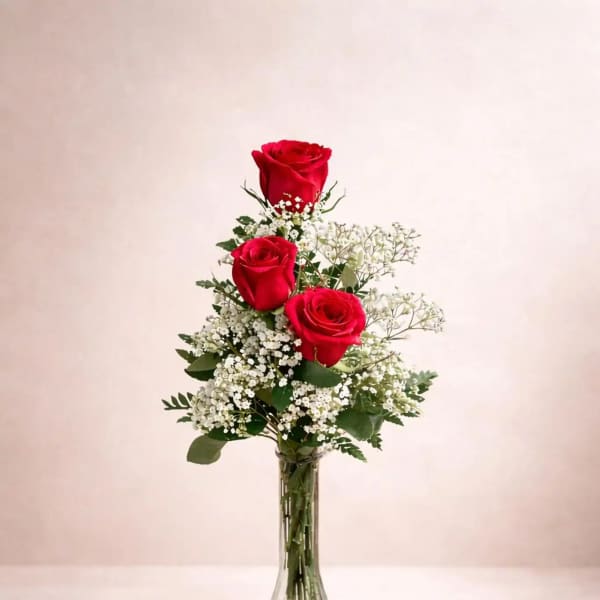 Three red roses arranged in a clear glass vase with white filler flowers