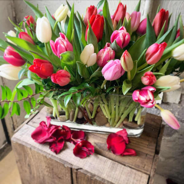 Glass vase filled with pink, red, and white tulips