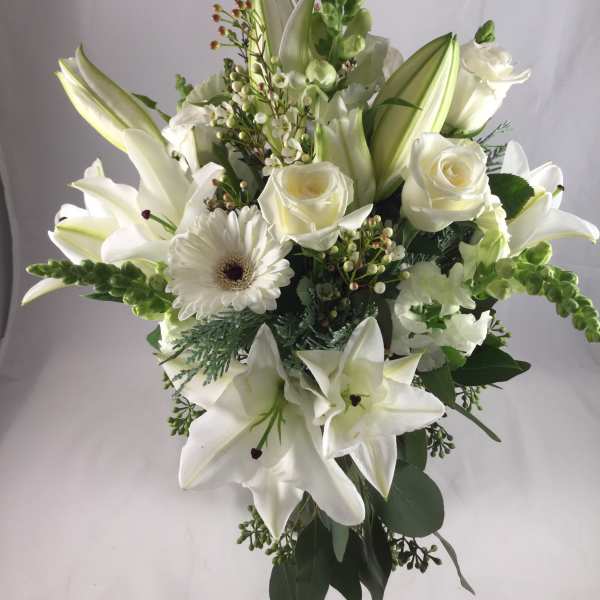 Rhapsody in White