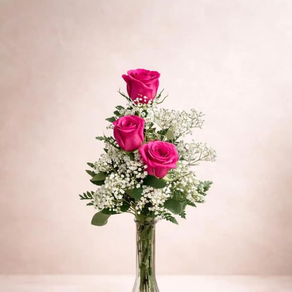 Three pink roses in a clear glass vase with white filler flowers