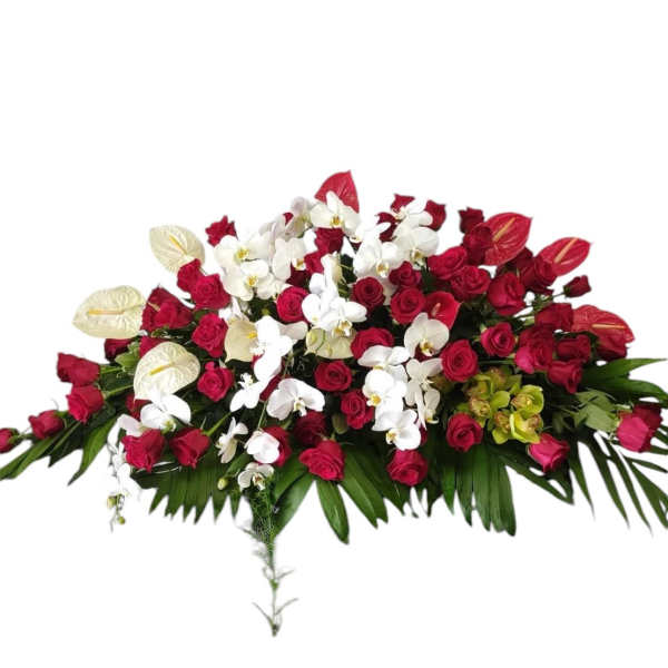 Red And White Casket