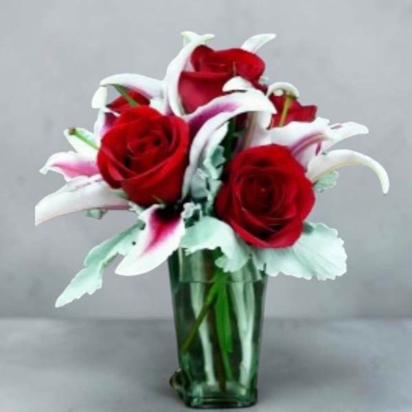 Roses and Stargaziers