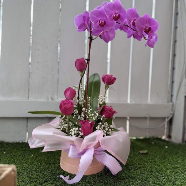 Blooming Elegance