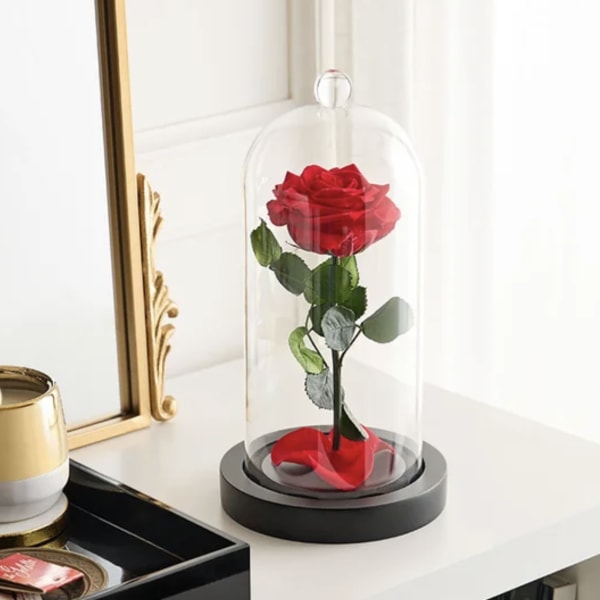 Single red rose under a glass dome on a black base