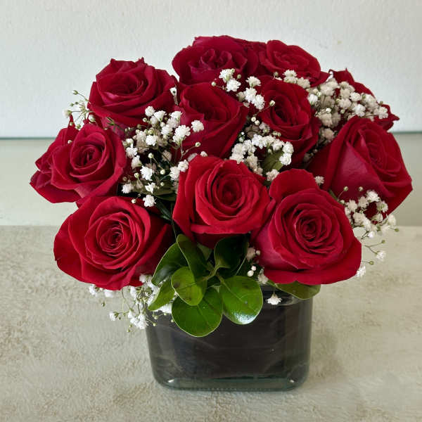 Red roses arranged in a square glass vase with white baby's breath