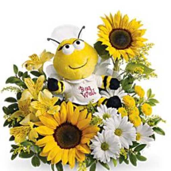 Bee plush surrounded by sunflowers and white daisies