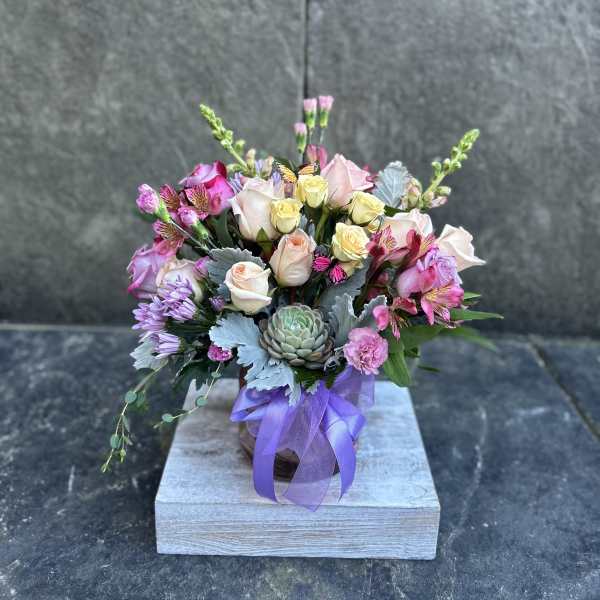 Butterfly Garden
