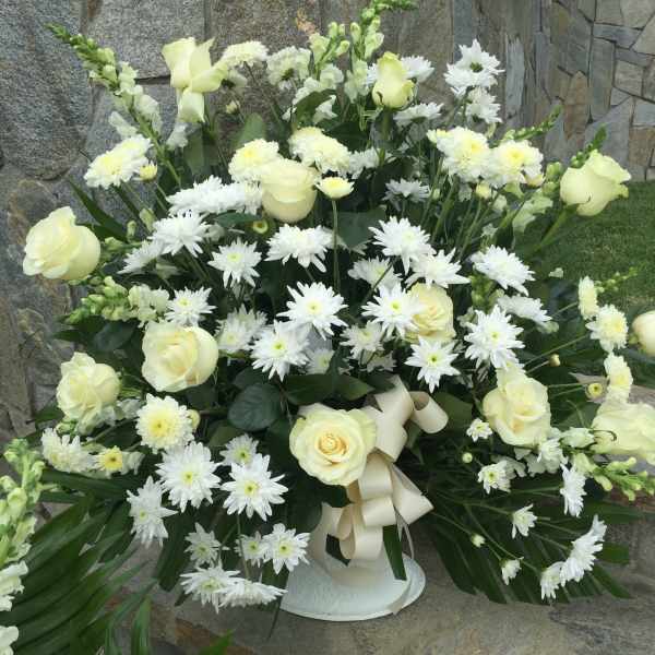 White roses and daisy-like flowers in a white vase with a cream ribbon