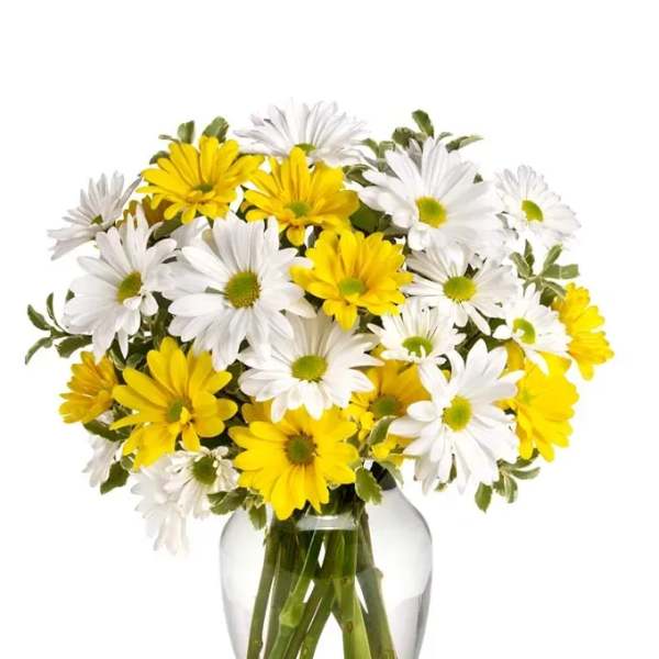 Yellow and white daisy bouquet in a clear glass vase