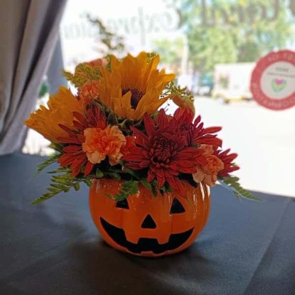 Jack O' Blooms