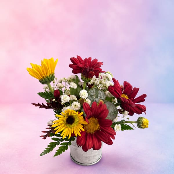 Mixed red and yellow daisies in a small metal vase