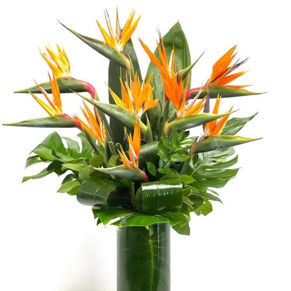 Tall tropical arrangement of orange bird of paradise flowers in a leaf-lined glass cylinder vase