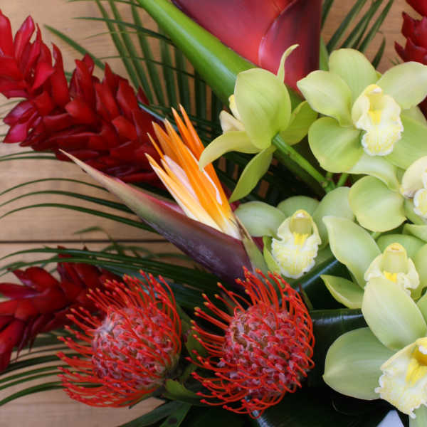 Tropical bouquet with red ginger, green orchids, and orange pincushion protea