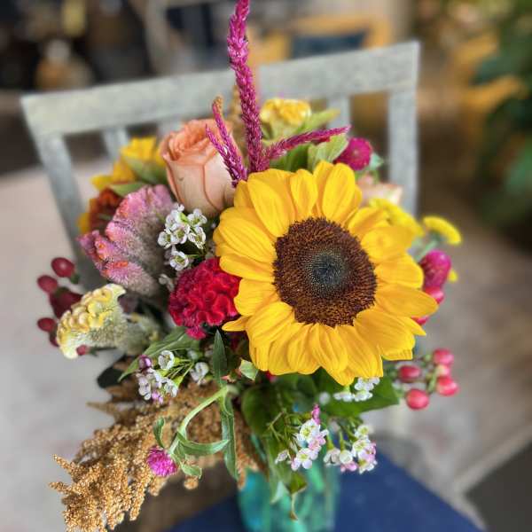 Autumnal Designer's Choice