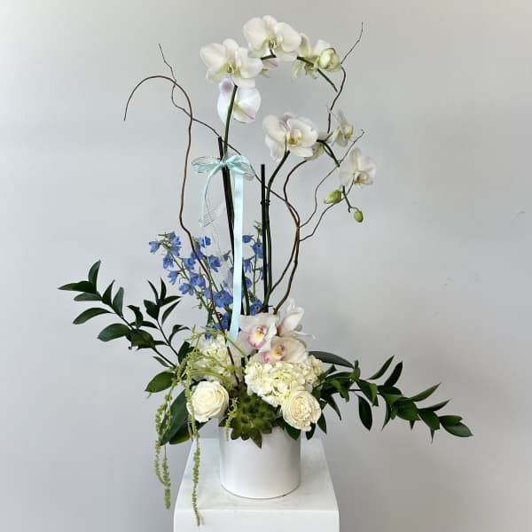 Eden